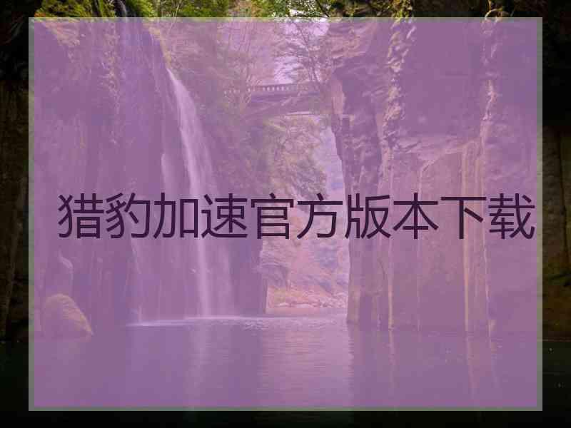 猎豹加速官方版本下载 猎豹加速官方版本下载