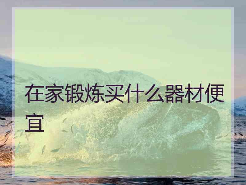 在家锻炼买什么器材便宜 在家锻炼买什么器材便宜
