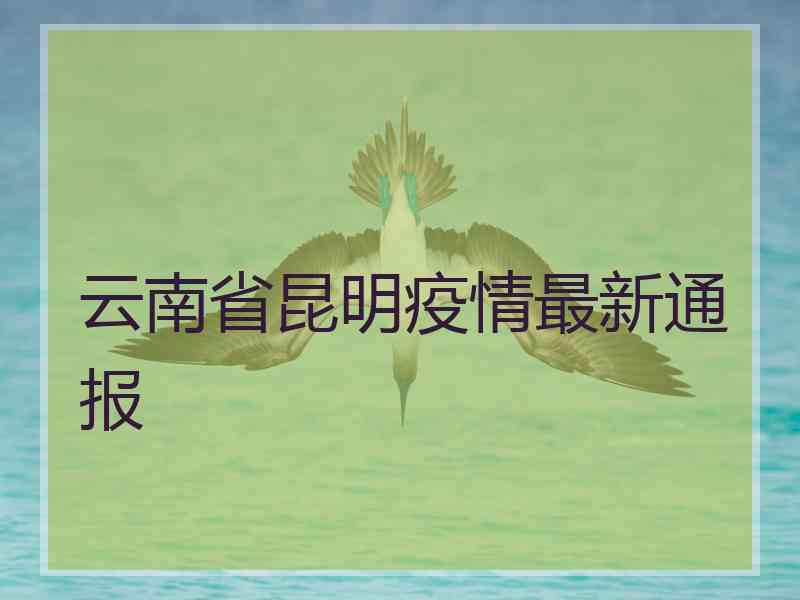 云南省昆明疫情最新通报 云南省昆明疫情最新通报