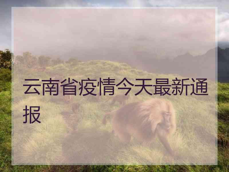 云南省疫情今天最新通报 云南省疫情今天最新通报