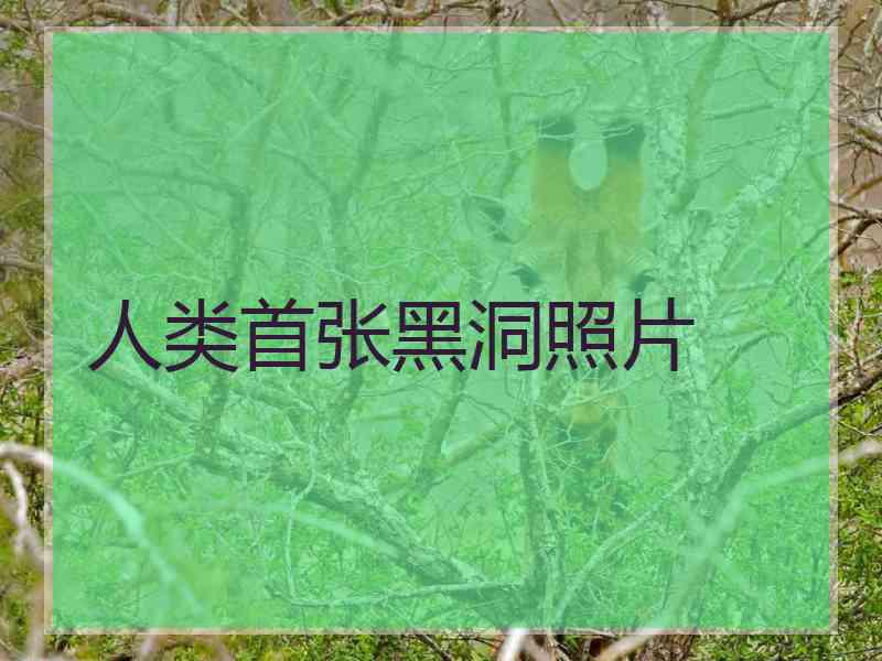 人类首张黑洞照片 人类首张黑洞照片