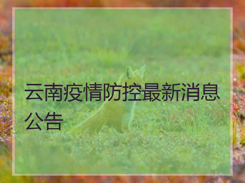 云南疫情防控最新消息公告 云南疫情防控最新消息公告