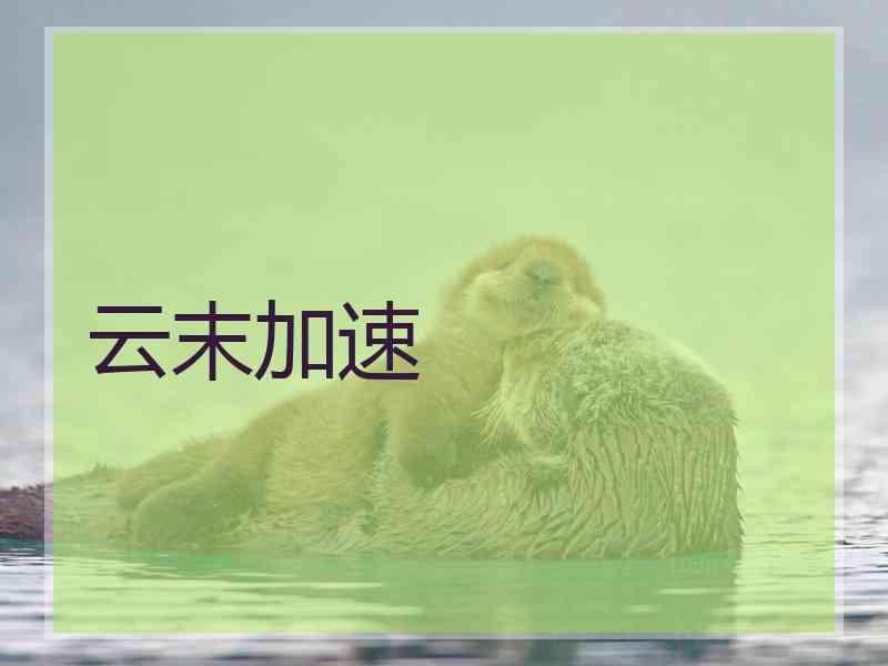 云末加速 云末加速