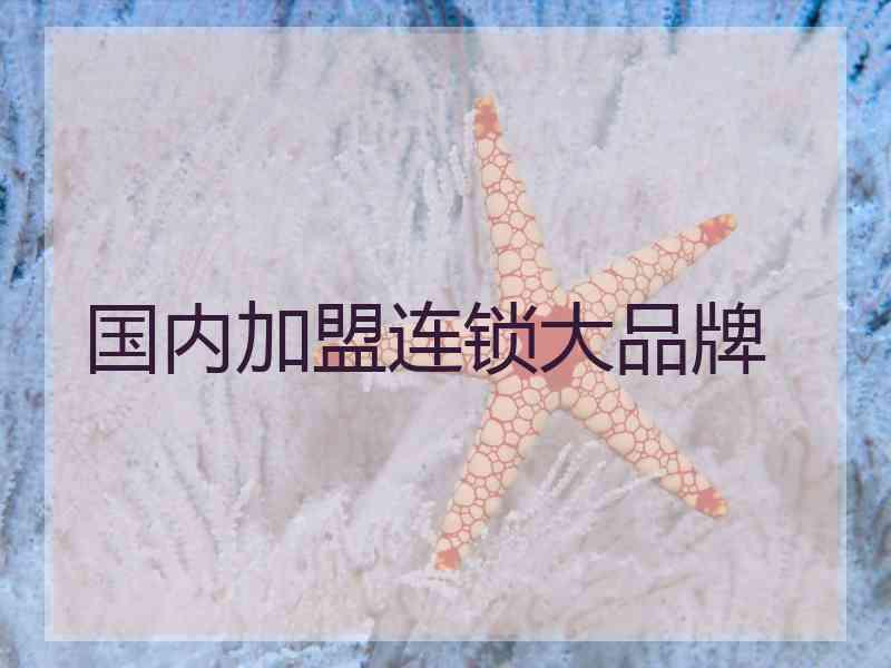 国内加盟连锁大品牌 国内加盟连锁大品牌
