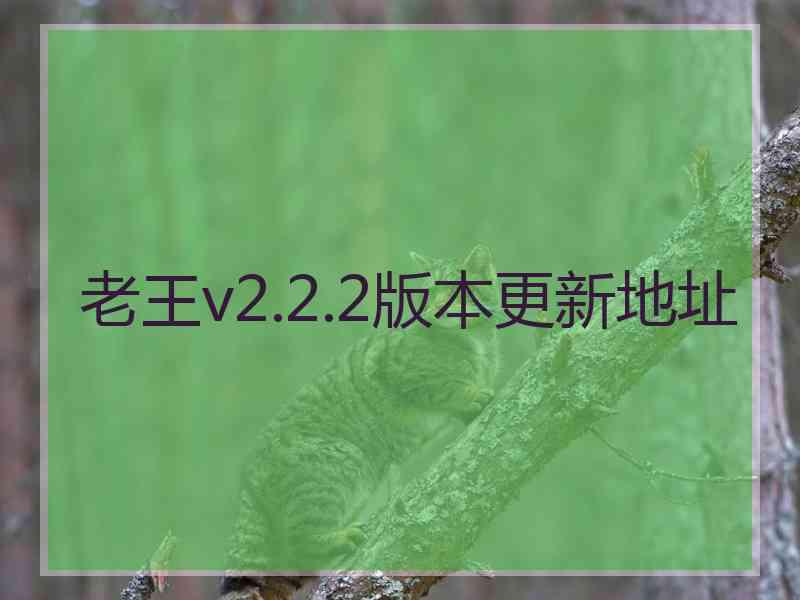老王v2.2.2版本更新地址