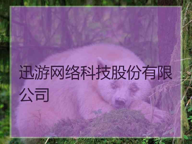 迅游网络科技股份有限公司 迅游网络科技股份有限公司