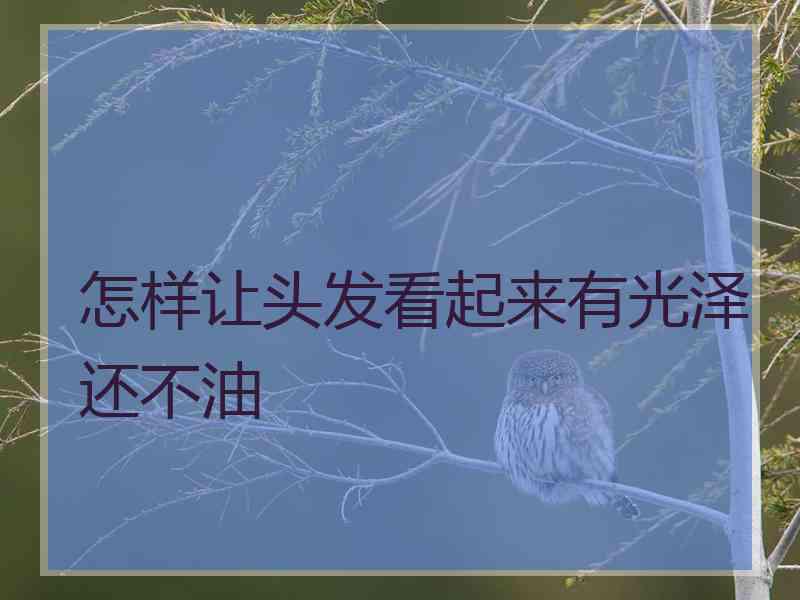 怎样让头发看起来有光泽还不油 怎样让头发看起来有光泽还不油