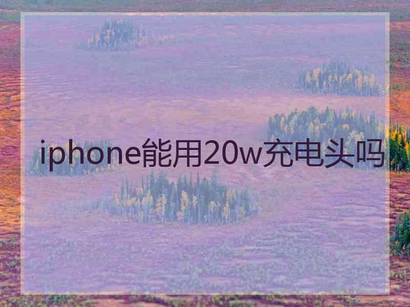 iphone能用20w充电头吗 iphone能用20w充电头吗