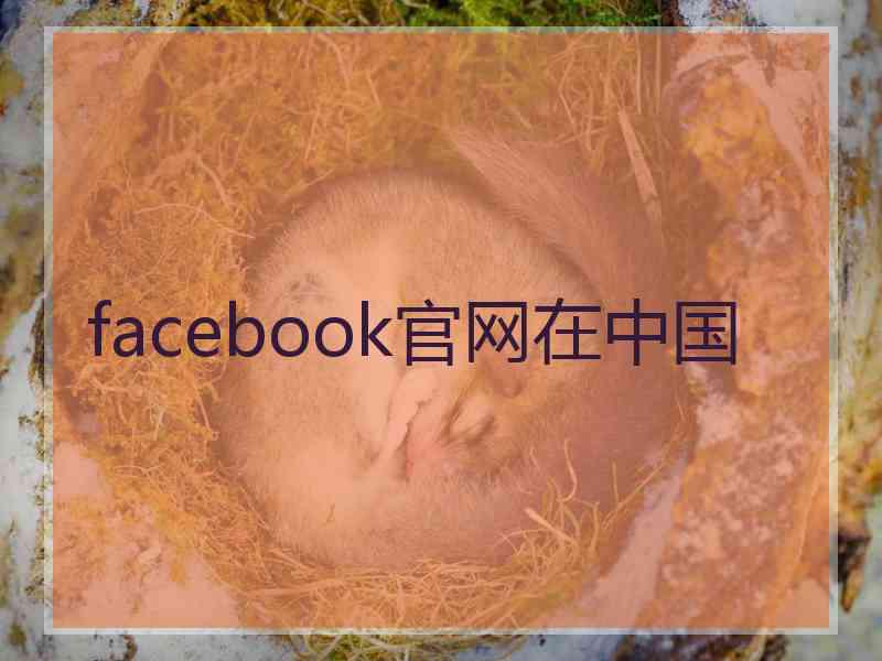 facebook官网在中国 facebook官网在中国