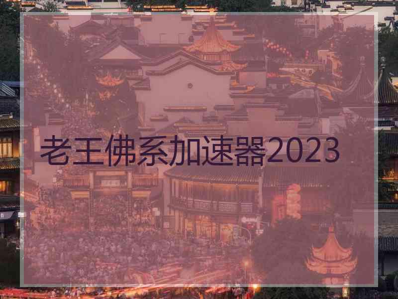 老王佛系加速器2023 老王佛系加速器2023