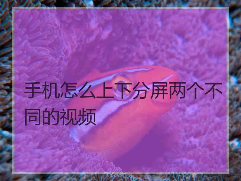 手机怎么上下分屏两个不同的视频 手机怎么上下分屏两个不同的视频