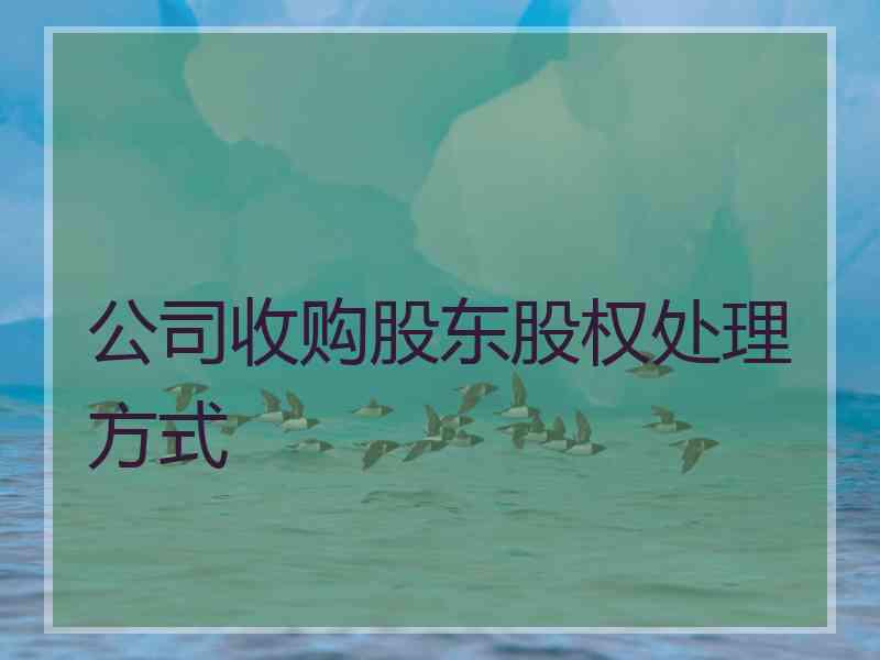 公司收购股东股权处理方式 公司收购股东股权处理方式