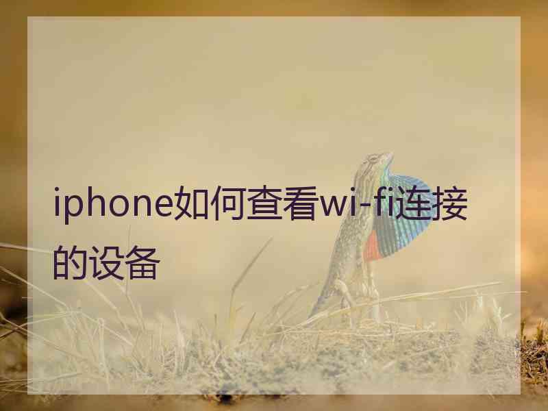 iphone如何查看wi-fi连接的设备 iphone如何查看wi-fi连接的设备