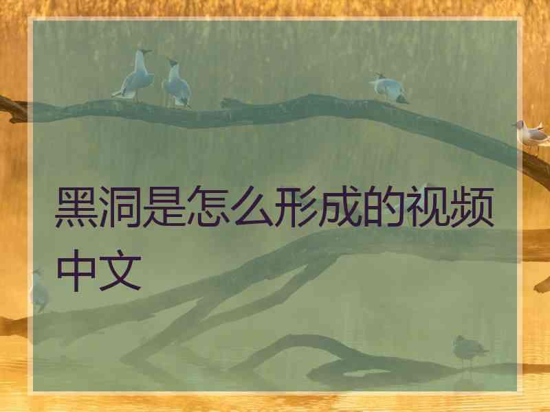 黑洞是怎么形成的视频中文 黑洞是怎么形成的视频中文