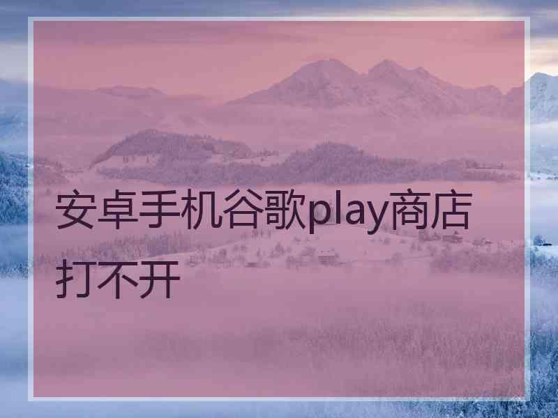 安卓手机谷歌play商店打不开 安卓手机谷歌play商店打不开