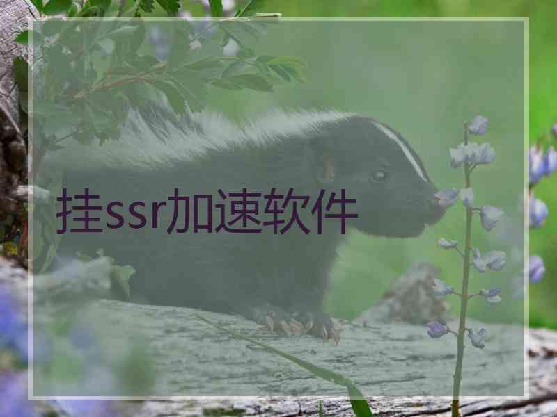 挂ssr加速软件 挂ssr加速软件