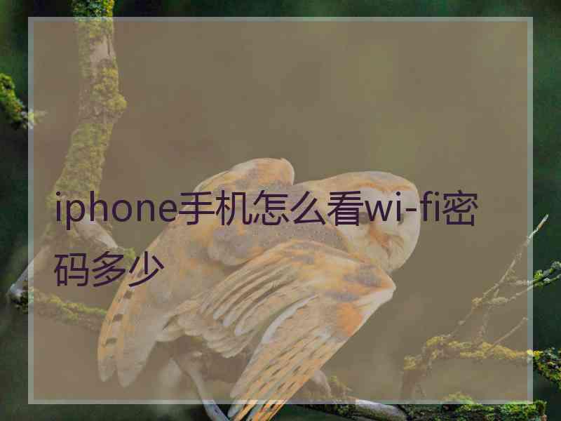 iphone手机怎么看wi-fi密码多少 iphone手机怎么看wi-fi密码多少
