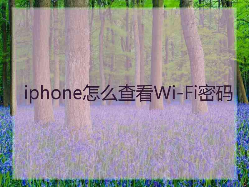 iphone怎么查看Wi-Fi密码 iphone怎么查看Wi-Fi密码