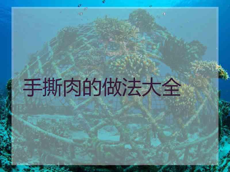 手撕肉的做法大全 手撕肉的做法大全