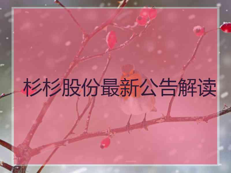 杉杉股份最新公告解读 杉杉股份最新公告解读