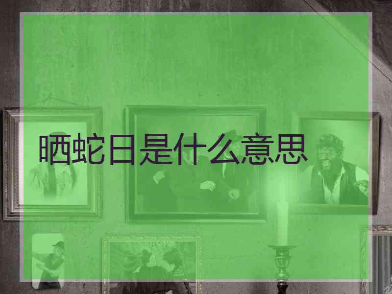 晒蛇日是什么意思 晒蛇日是什么意思