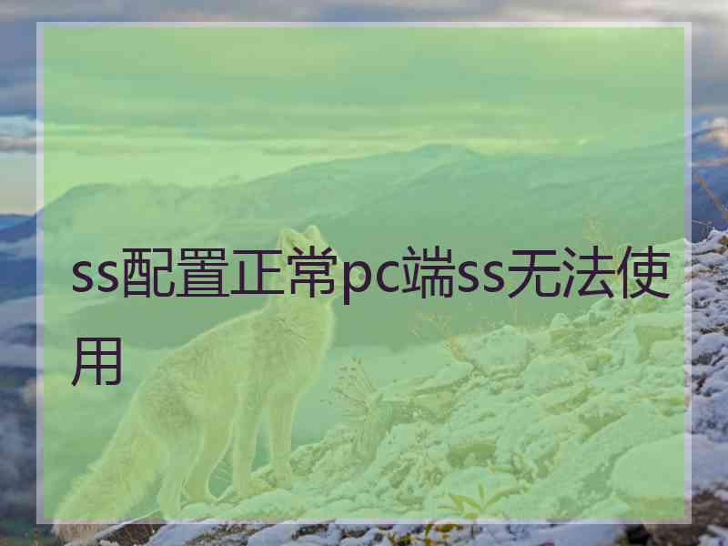 ss配置正常pc端ss无法使用 ss配置正常pc端ss无法使用
