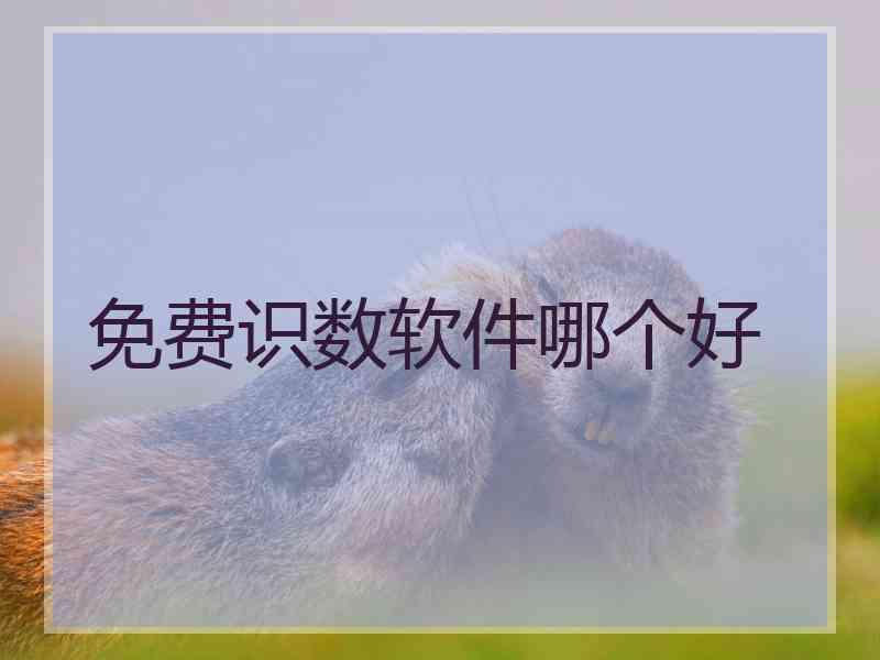 免费识数软件哪个好 免费识数软件哪个好
