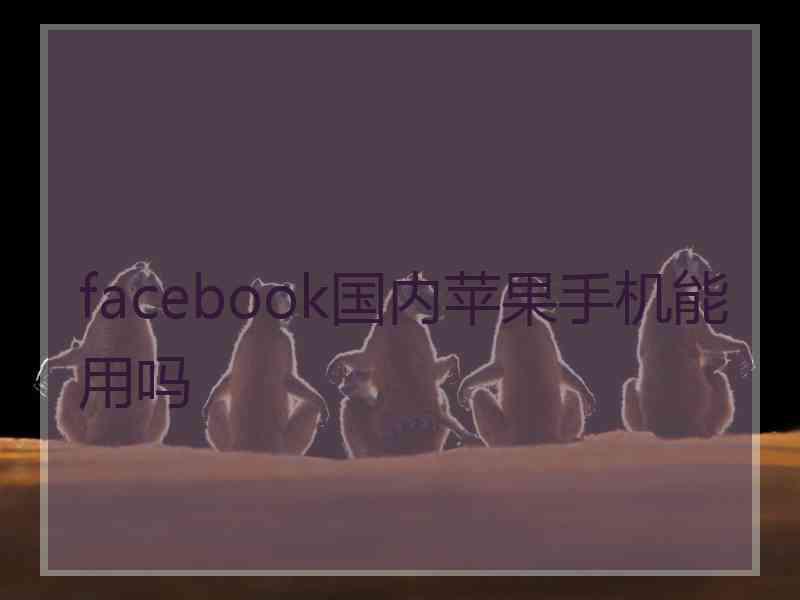 facebook国内苹果手机能用吗 facebook国内苹果手机能用吗