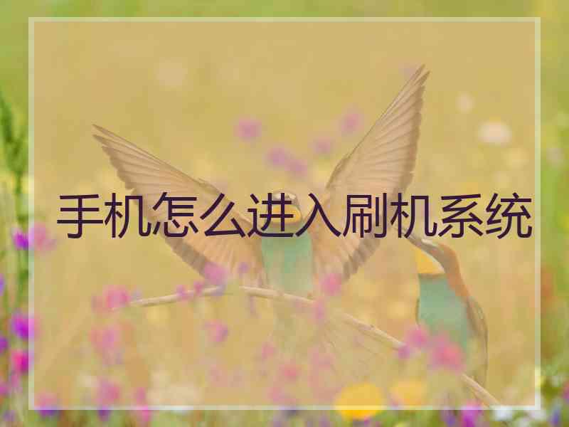 手机怎么进入刷机系统 手机怎么进入刷机系统