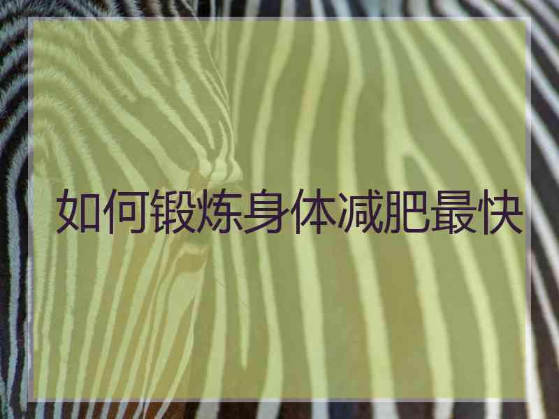如何锻炼身体减肥最快 如何锻炼身体减肥最快