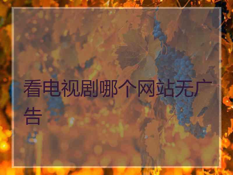 看电视剧哪个网站无广告 看电视剧哪个网站无广告
