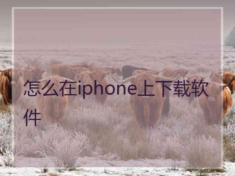 怎么在iphone上下载软件 怎么在iphone上下载软件