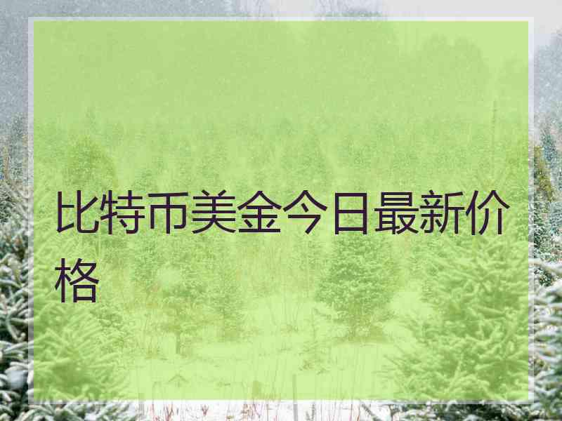 比特币美金今日最新价格 比特币美金今日最新价格