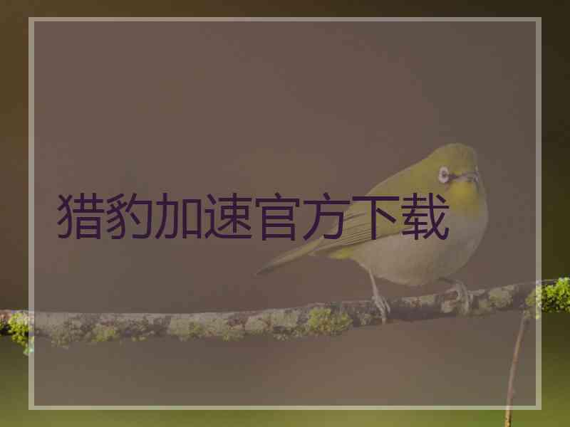 猎豹加速官方下载 猎豹加速官方下载