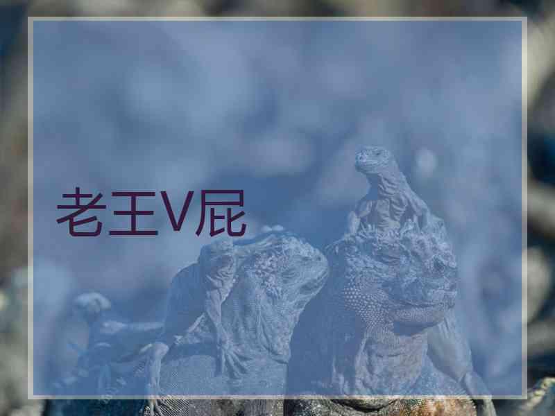 老王V屁 老王V屁
