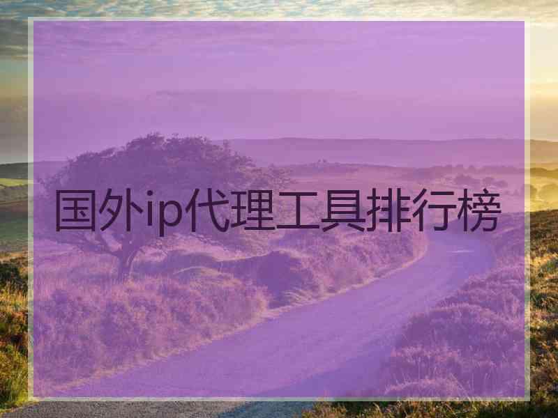 国外ip代理工具排行榜 国外ip代理工具排行榜