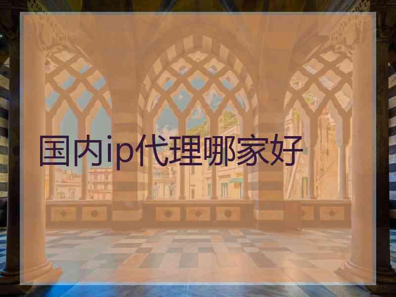 国内ip代理哪家好 国内ip代理哪家好