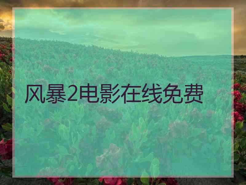 风暴2电影在线免费
