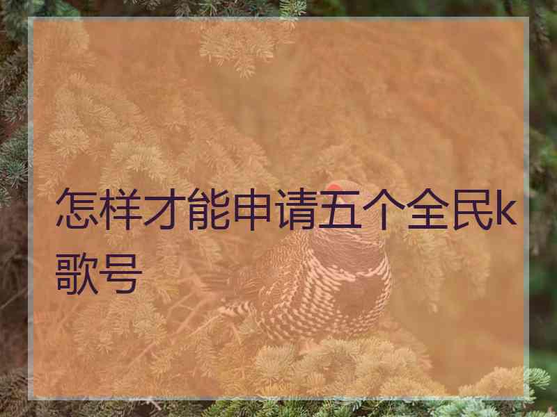 怎样才能申请五个全民k歌号