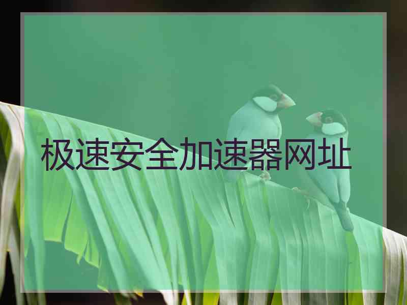 极速安全加速器网址