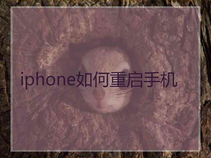 iphone如何重启手机