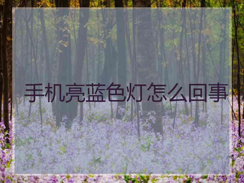 手机亮蓝色灯怎么回事
