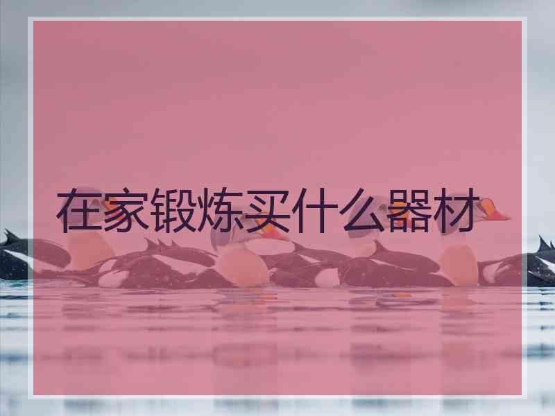 在家锻炼买什么器材