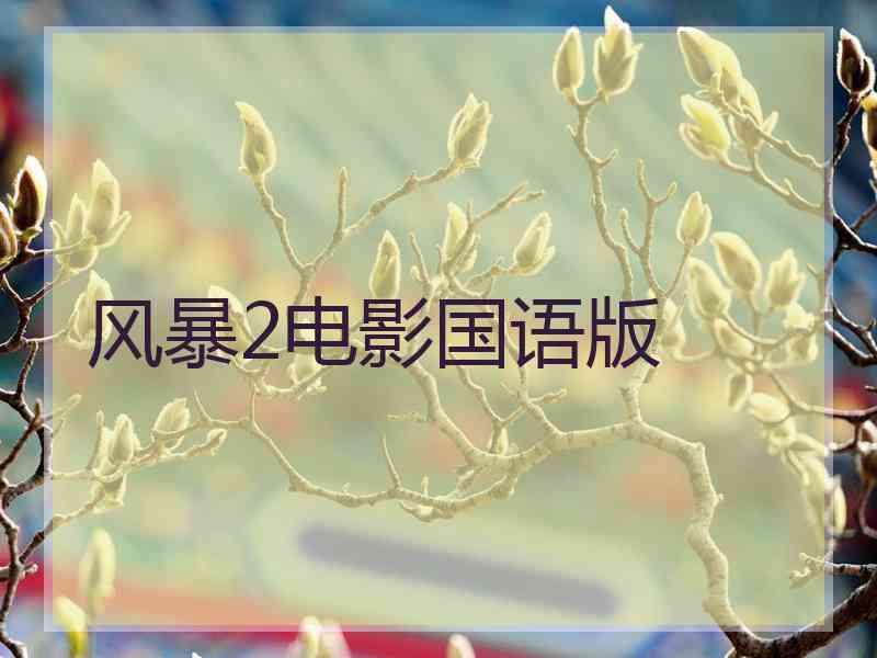 风暴2电影国语版