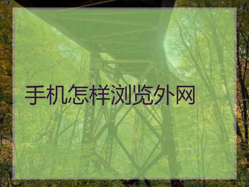 手机怎样浏览外网