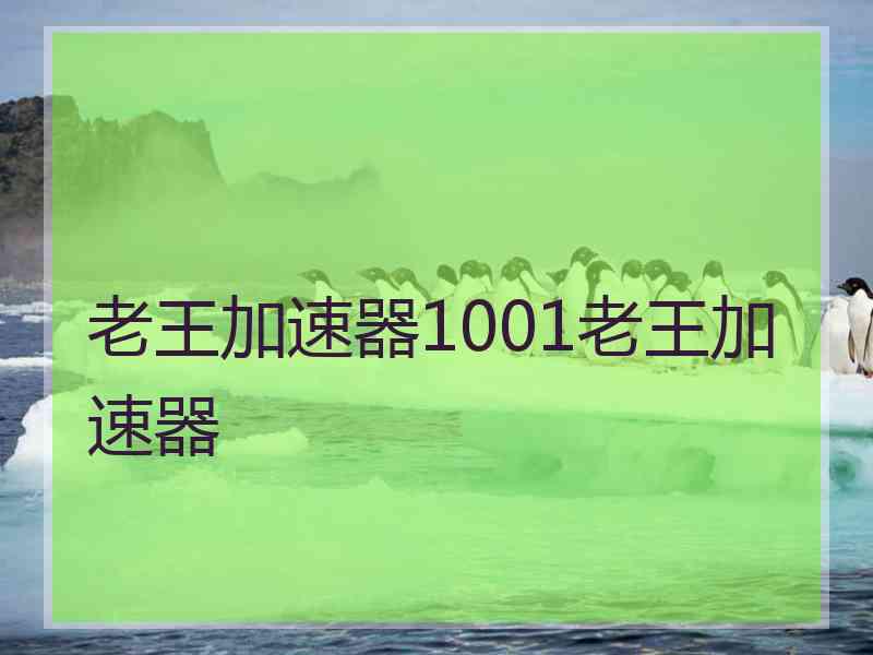 老王加速器1001老王加速器