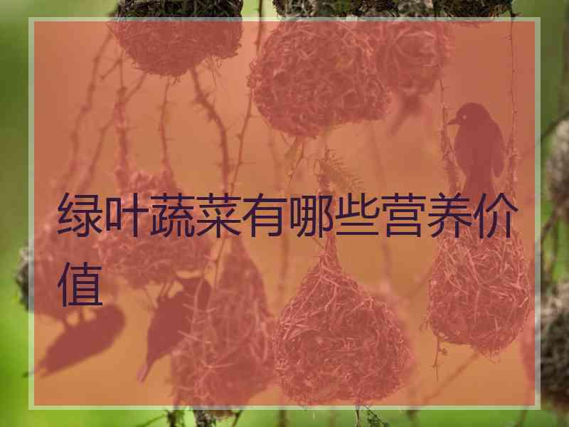 绿叶蔬菜有哪些营养价值