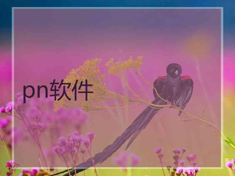pn软件
