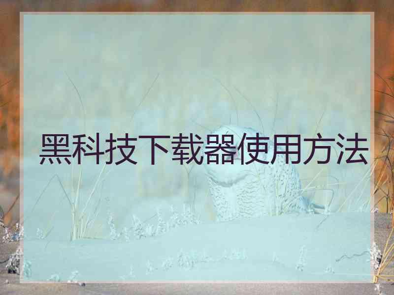 黑科技下载器使用方法