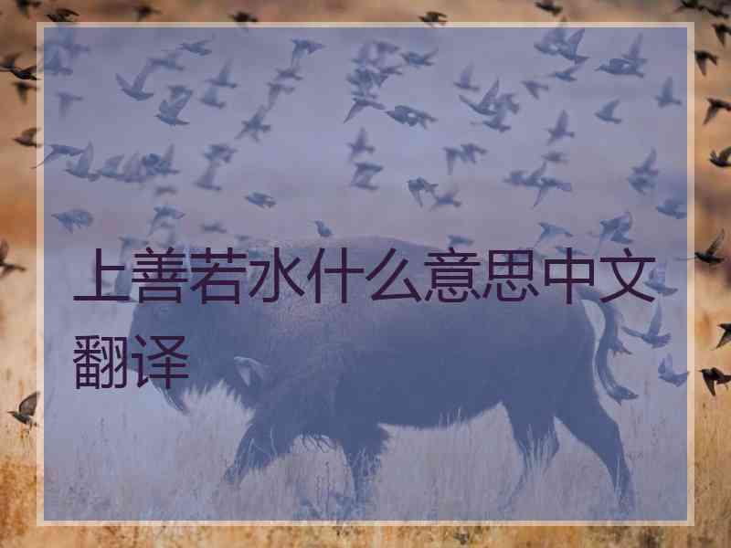 上善若水什么意思中文翻译